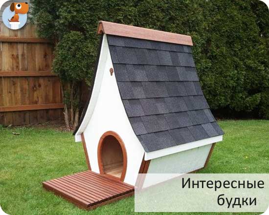 Интересные будки