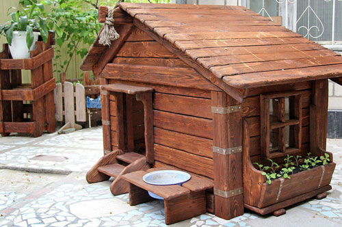 Интересная будка