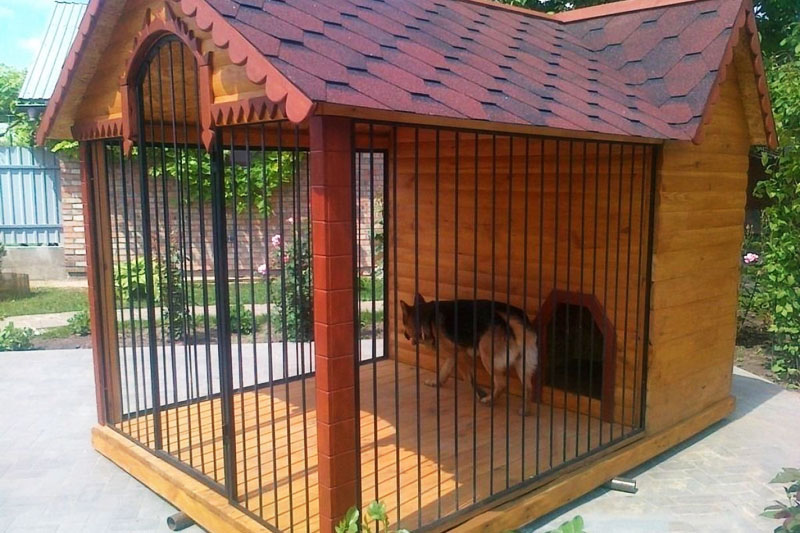 Собачка в вольере