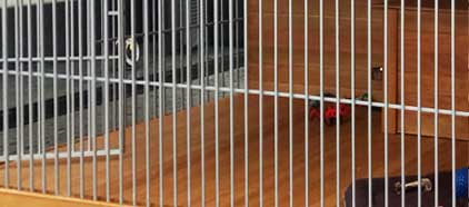 Пол вольера для собаки