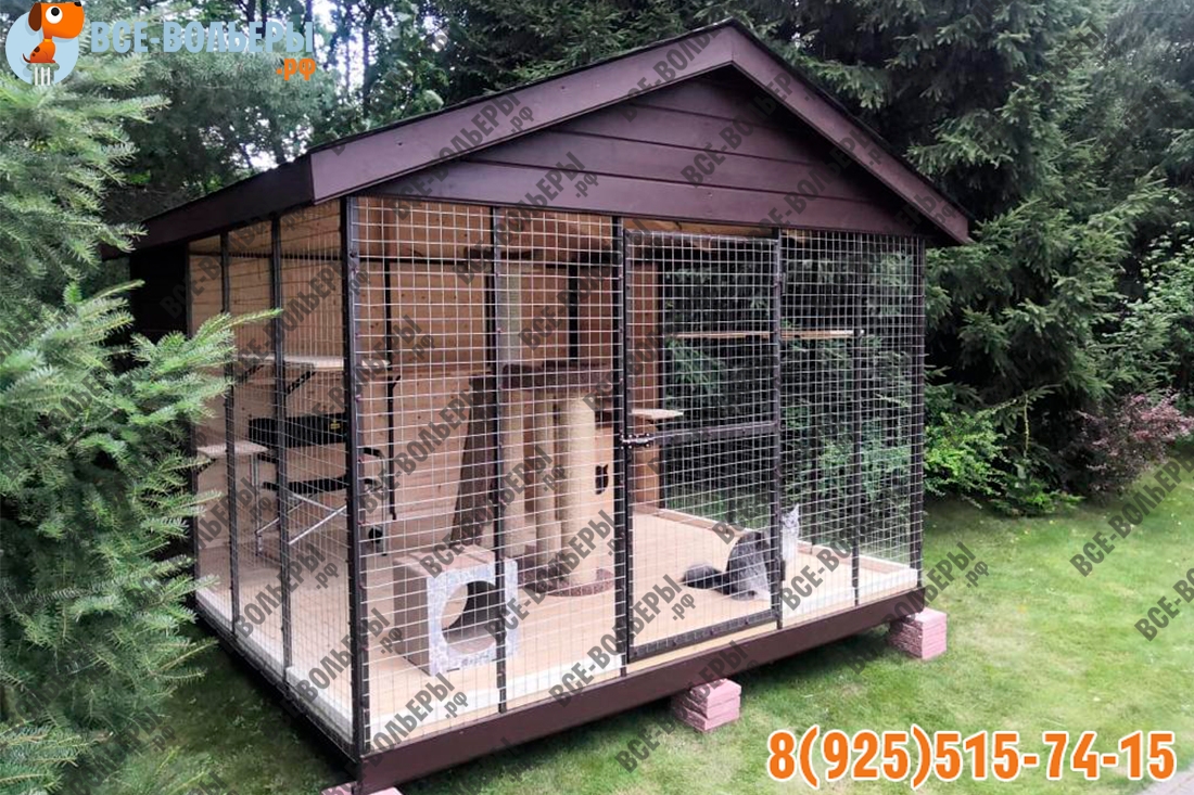 Вольер для Мейн-Куна