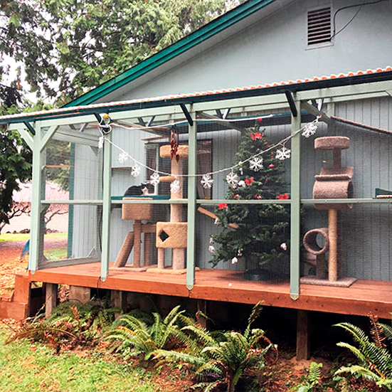 Переход из дома в вольер