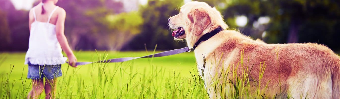 Вольеры - дома для самых преданных