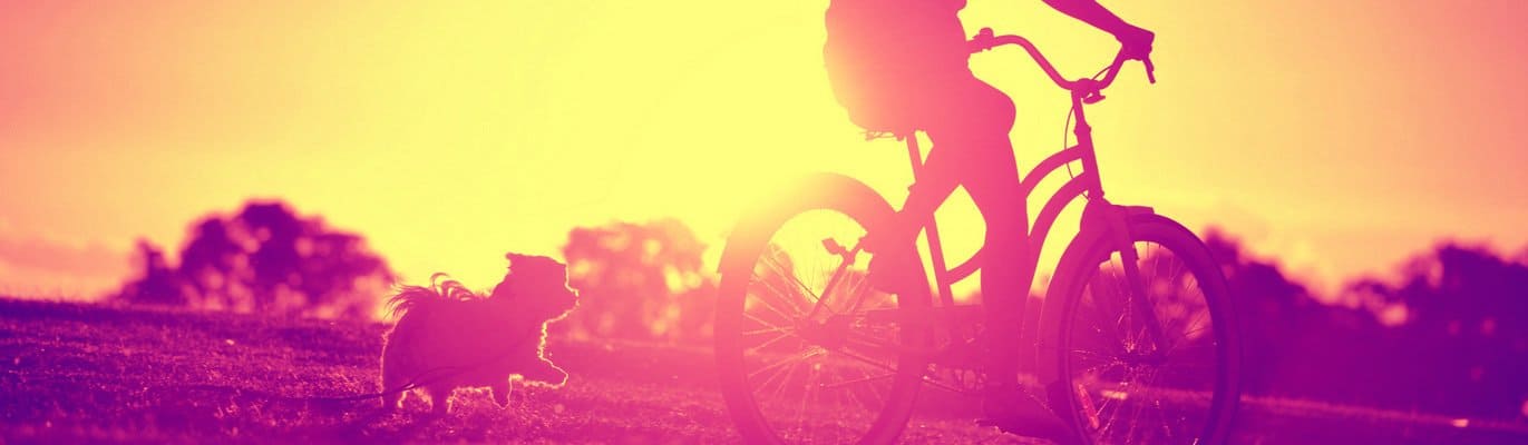 Вольеры - дома для самых близких