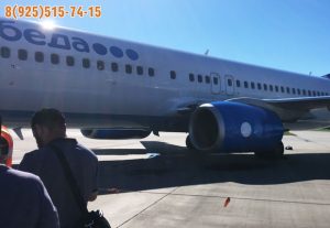 Собрали вольер для алабая в Грозном